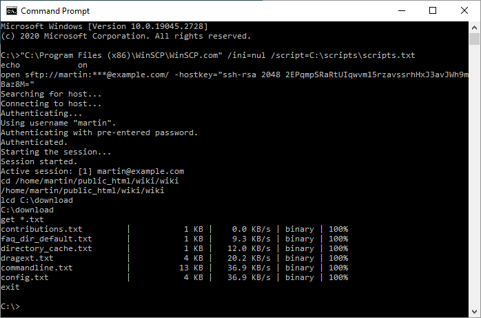 Batch File Comments & Arguments - Video & Lesson Transcript