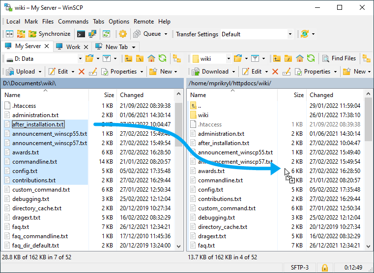 Winscp script to move files from ftp winscp files to a visual studio project