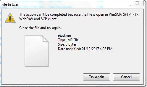 winscp accidentally deleted local file