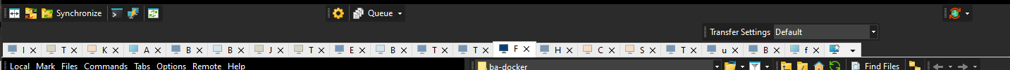 WinSCP tabs.PNG