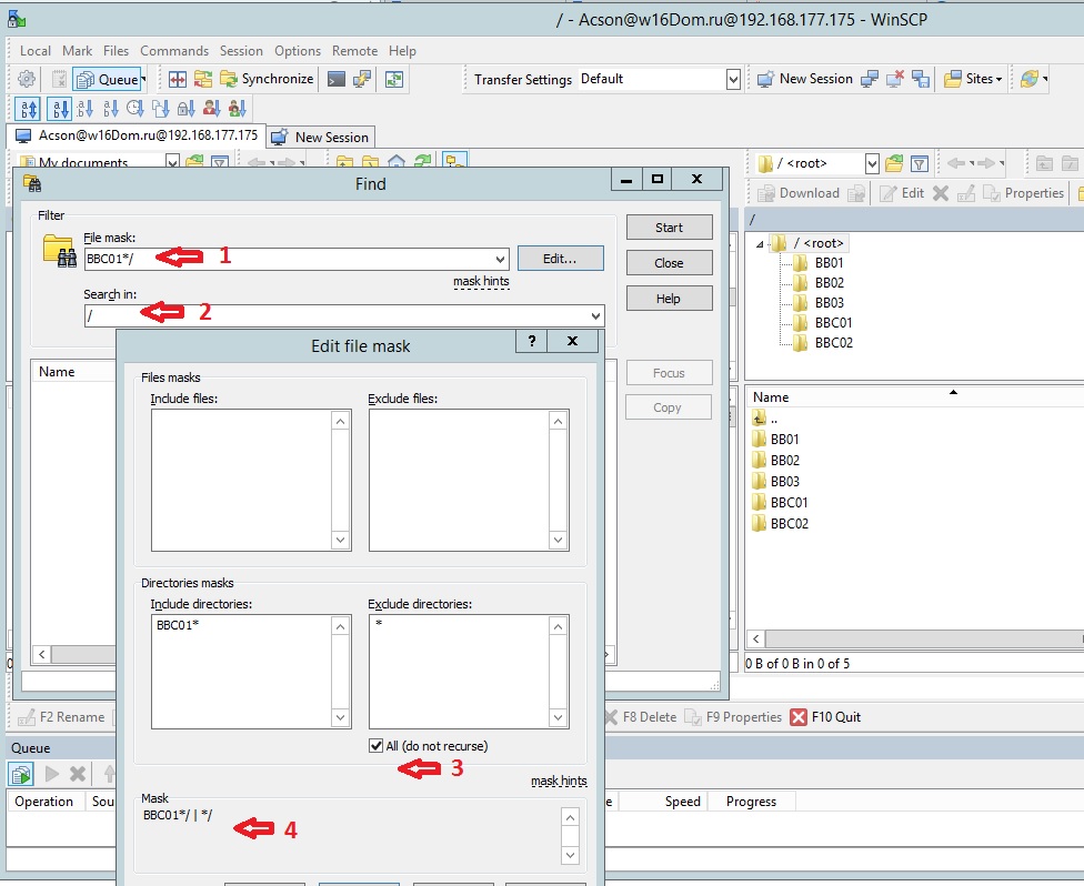 winscp search for text in files