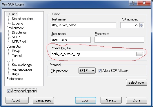 Winscp ftp server