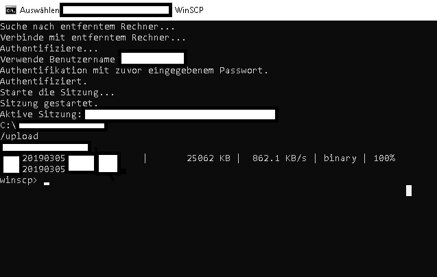 winscp with switch for password in batch file